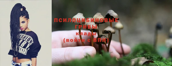 соль ск Касимов