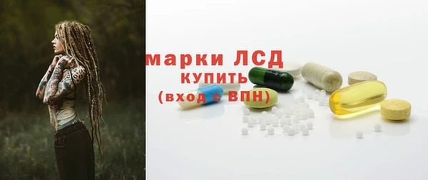 apvp Каменка