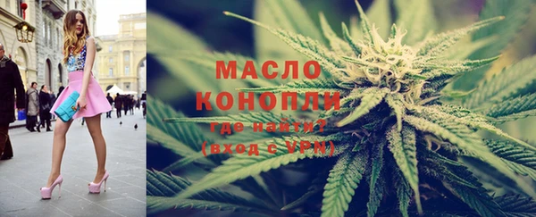 apvp Каменка