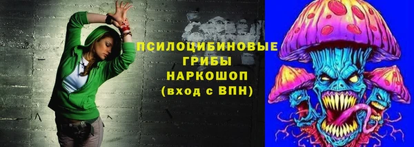 крисы Каменск-Шахтинский