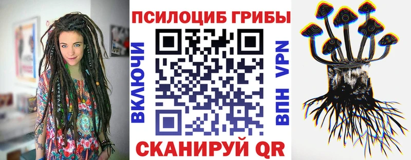 hydra ссылки Набережные Челны Псилоцибиновые грибы Magic Shrooms