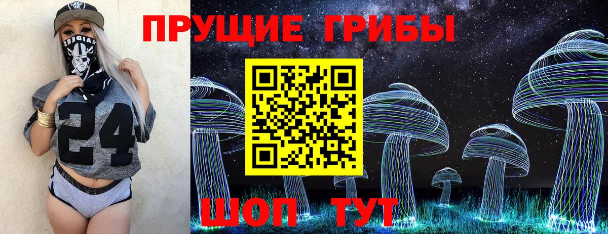 Галлюциногенные грибы Psilocybine cubensis Набережные Челны