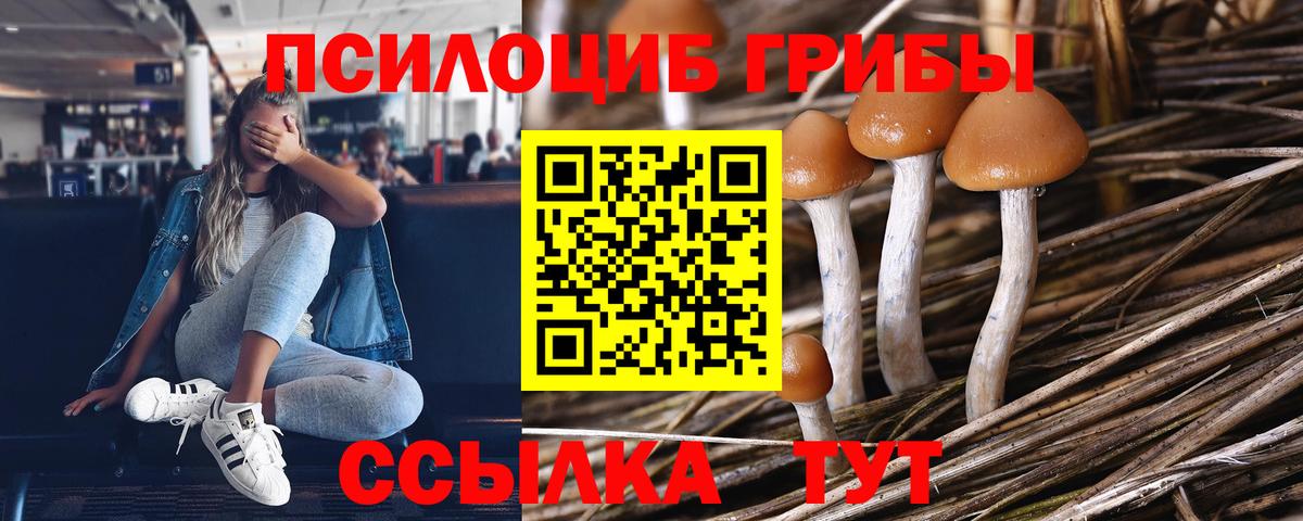 Галлюциногенные грибы Psilocybe  Набережные Челны 