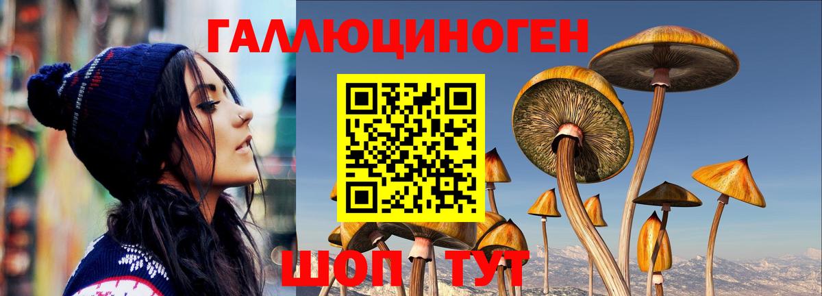 Галлюциногенные грибы Magic Shrooms  Вход с VPN  Набережные Челны 