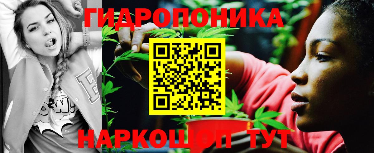 Конопля планчик Набережные Челны